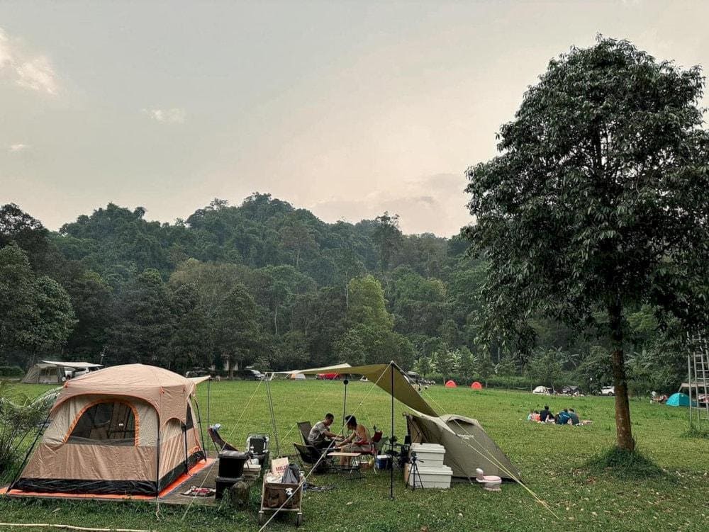 Trải nghiệm cắm trại, picnic tại rừng Cúc Phương. (Nguồn: Internet)